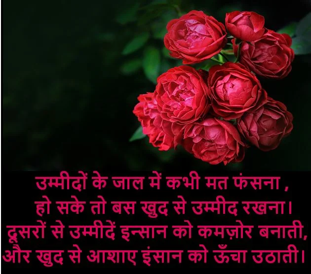 latest shayari images download, latest shayari images collection