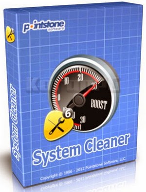Pointstone System Cleaner