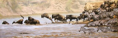 wildebeest and zebra crossing river 