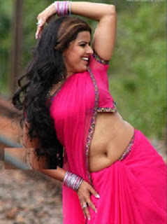 Mallu Actress Hot Saree Navel Photos