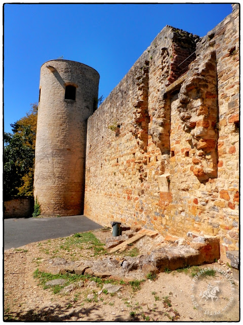 TREVOUX (01) - Château-fort