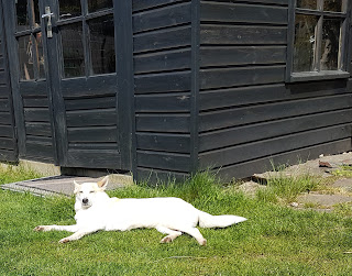 genieten in eigen tuin