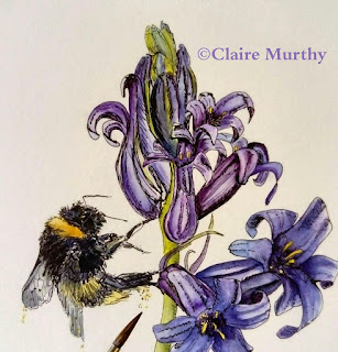 Bee and flower watercolour painting : wildlife drawing classes London Surrey, Kent, Susses