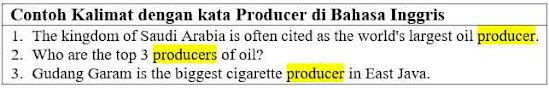 21 contoh kalimat dengan kata producer di bahasa Inggris.