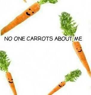 No One Carrots About Me Meme