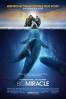 Watch Big Miracle Putlocker Online Free