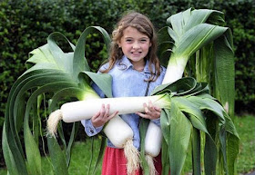 Chinese leek, (大 蒜, Dà suàn)