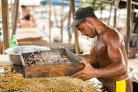 Кухня Бразилии: моллюск суруру