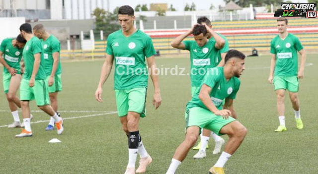 "مفاجأة بلماضي" يسابق الزمن للمشاركة في كأس أمم أفريقيا 2019