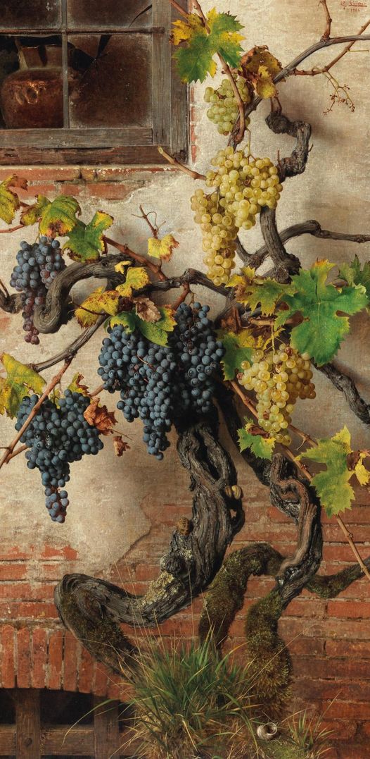 Джорджио Луккези   -   Красный и белый виноград 