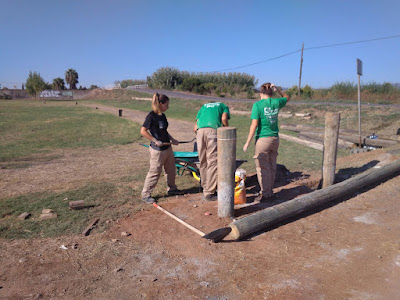 Alumnos de T'Avalem Moncofa colocando los postes de madera del vallado.