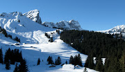 Because of that you can cover much more ground on skis than on snow shoes.