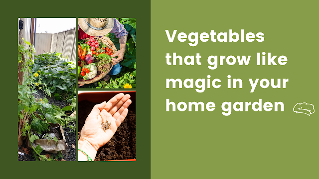 Vegetables that grow like magic in your home garden