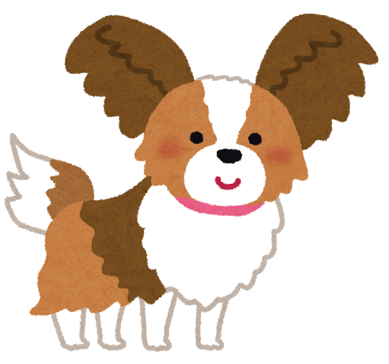 パピヨンのイラスト 犬 かわいいフリー素材集 いらすとや