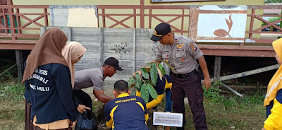 Polsek Bunut Hulu Tanam Ratusan Pohon Buah-buahan, Warga Apresiasi