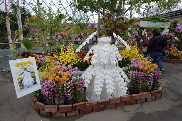鳥取県西伯郡南部町鶴田 とっとり花回廊 フラワードーム 胡蝶蘭のドレス