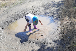 Rosie splashing in her puddle