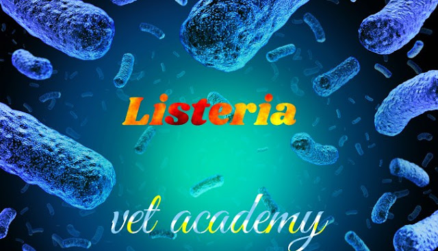 الليستريا-مرض الدوران-Listeriosis-Circling disease