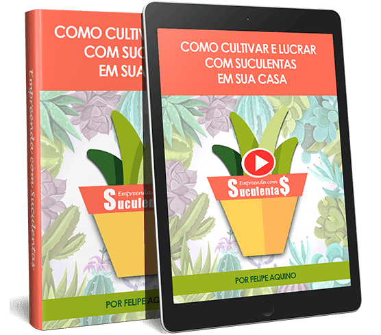 curso-empreenda-com-suculentas-funciona