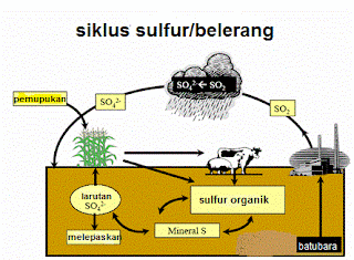 Daur Sulfur adalah