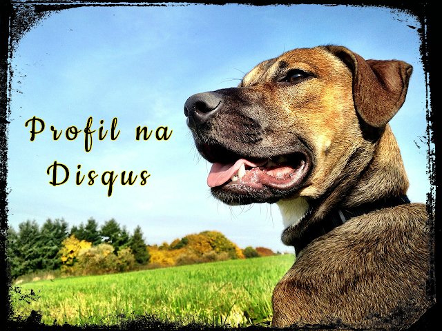 Relewantna - Profil na Disqus