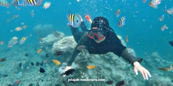 destinasi wisata open trip pulau pari