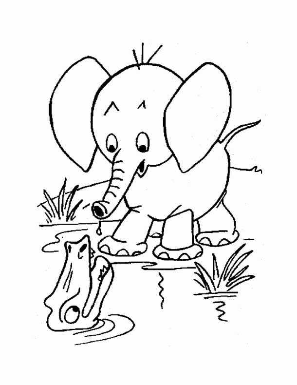 Download Kids Page: Elephant Coloring Pages