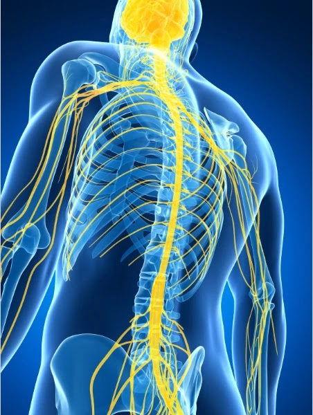 Peripheral Nerve Stimulation - Lower back pain