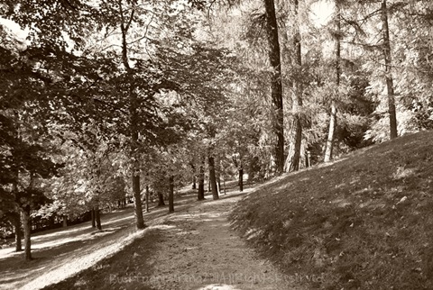 cavalese023