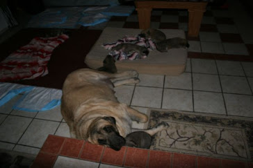 Mama is a bit tired!!!
