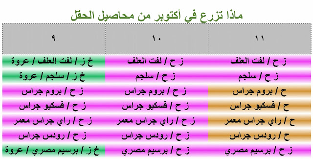 ماذا تزرع في أكتوبر من محاصيل الحقل