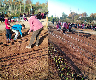 niños del colegio bonavista alaquas sembrando en el huerto