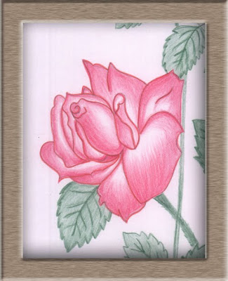 rose drawings in pencil. Rosedrawings of rose