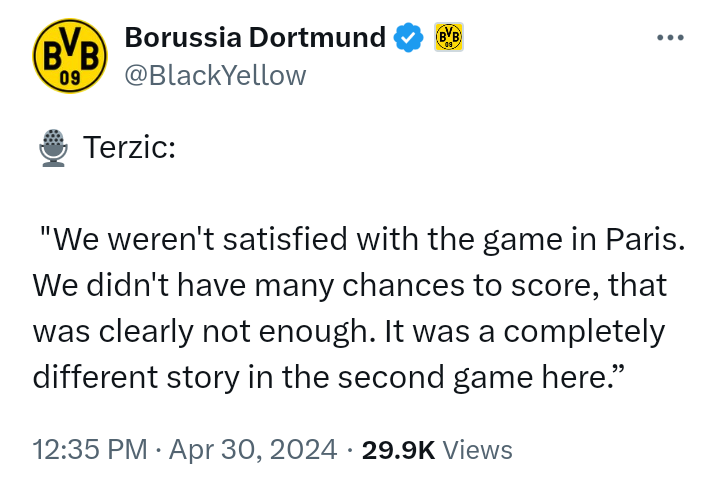 Borussia Dortmund manager, Edin Terzic