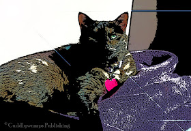 Real Cat Paisley in the Sun, posterized