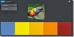 Kuler Lorikeet03 custom selection