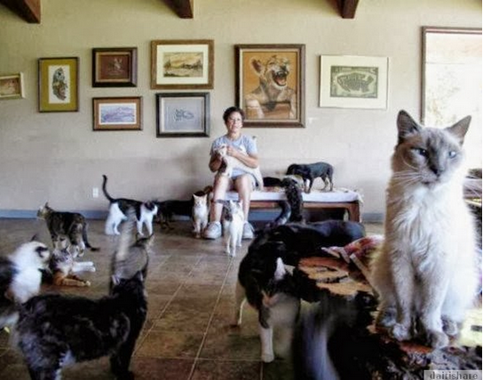 Menggagumkan !! Wanita Ini Bela 700 Ekor Kucing Dalam Rumah | PenaMerah