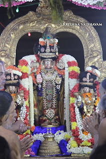 Narasimhar Perumal, Azhagiya Singar, Theliyasingar Maasi , Purappadu,  Trplicane,  Purappadu, Thiruvallikeni, Utsavam, 