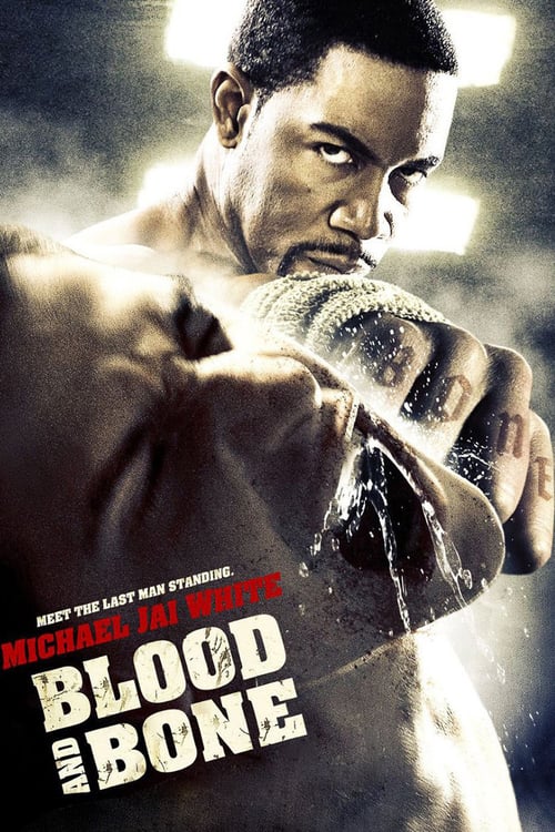 [HD] Blood and Bone 2009 Streaming Vostfr DVDrip
