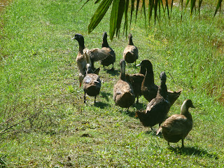 Kapong Thailand