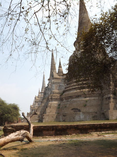 Wat Phra si samphet, temple Thaïlande, Ayutthaya, location vélo, guesthouse