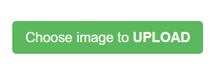 Screenshot from Favicon Generator website shows dark green "Choose Image to upload" button