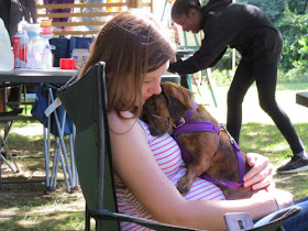 dachshund snuggling 