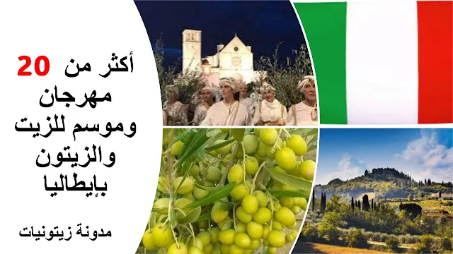 أكثر من 20 مهرجان وموسم للزيت والزيتون بإيطاليا