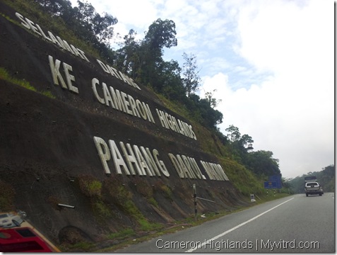 Welcom to Cameron Highlands
