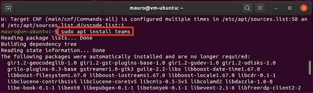 sudo app install microsoft teams command