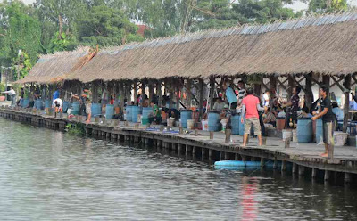 Informasi Tempat Wisata Favorit Pemancingan Bungsamran 