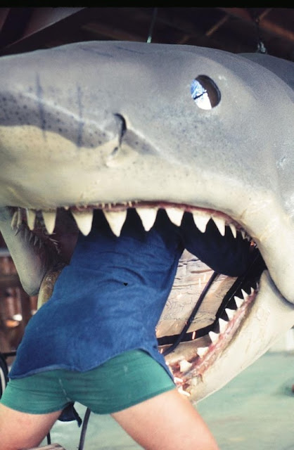 jaws behind the scenes