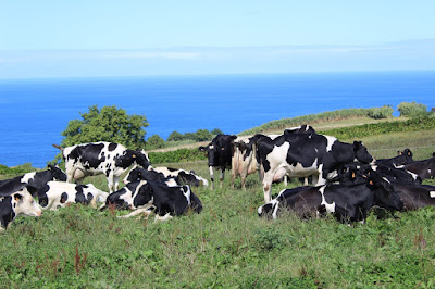 Emprego Açores