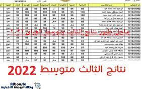 الاستعلام عن نتائج الثالث المتوسط 2022 في العراق عبر موقع وزارة التربية والتعليم العراقية.